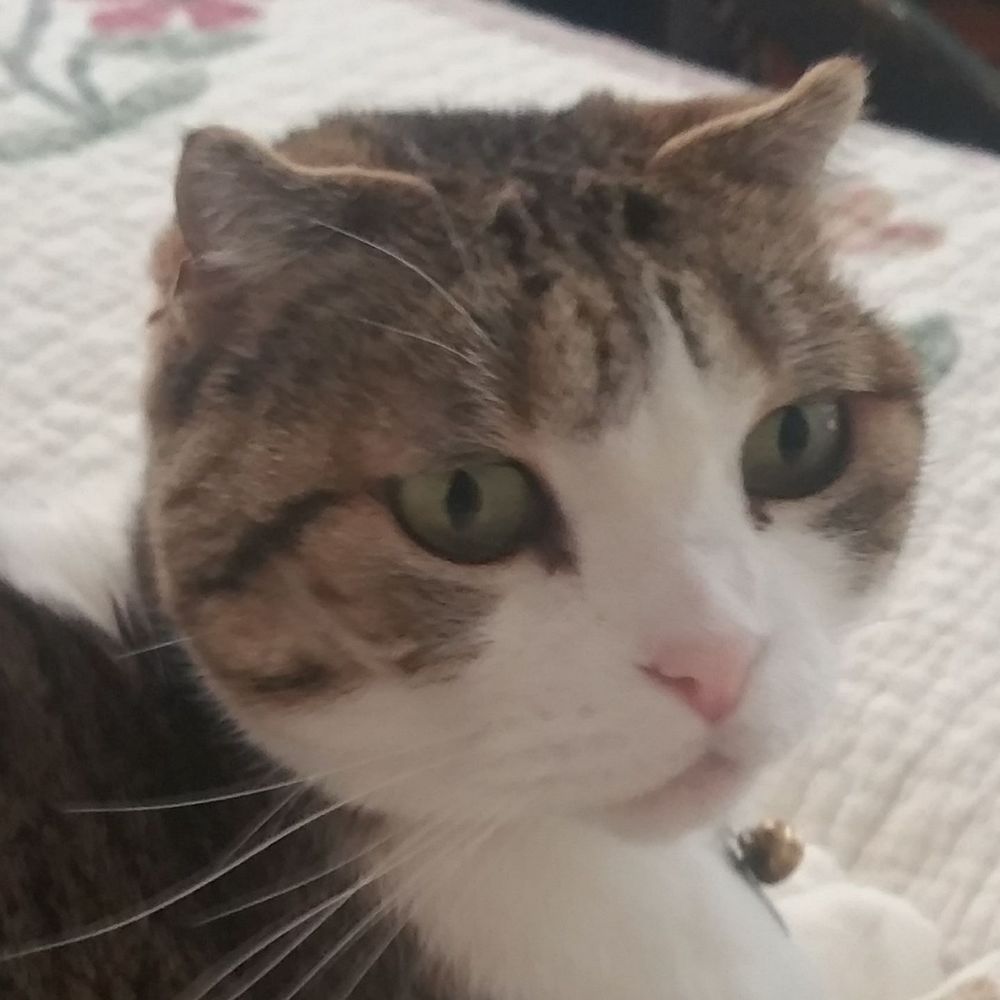 Meet your Posher, Sherry